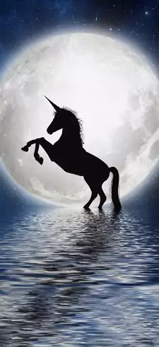 Unicorn Wallpapers