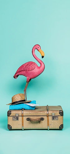 Travel Live Wallpapers
