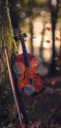 Violin Live Wallpapers