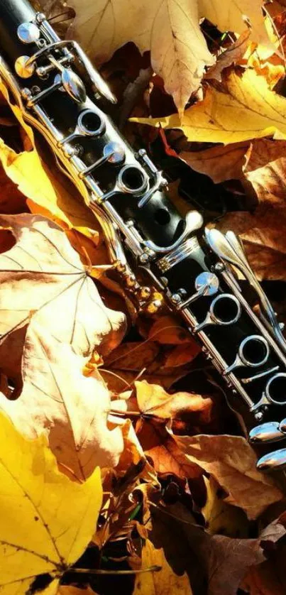 Clarinet Wallpapers