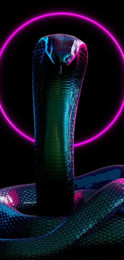 King Cobra Wallpapers