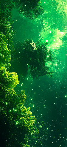 Green Wallpaper