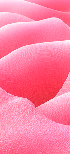 Pink Wallpaper