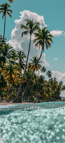 Hawaii Wallpaper